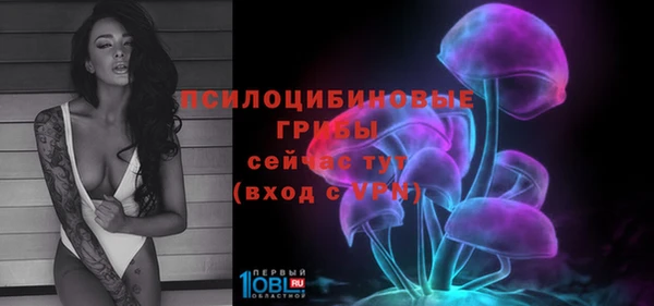 ПСИЛОЦИБИНОВЫЕ ГРИБЫ Армянск