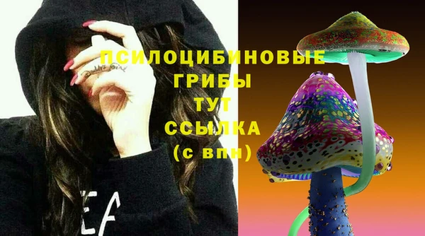 а пвп мука Арсеньев