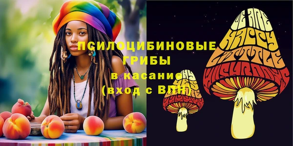 а пвп мука Арсеньев