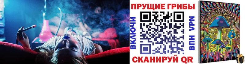 магазин продажи   Белая Холуница  Псилоцибиновые грибы Cubensis 